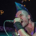 GutterPunk - Professional Concert Photography